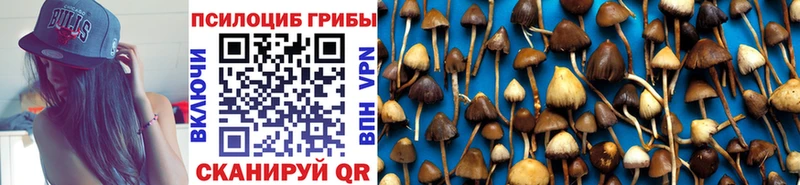 Галлюциногенные грибы GOLDEN TEACHER  ОМГ ОМГ вход  Полевской  магазин продажи наркотиков 