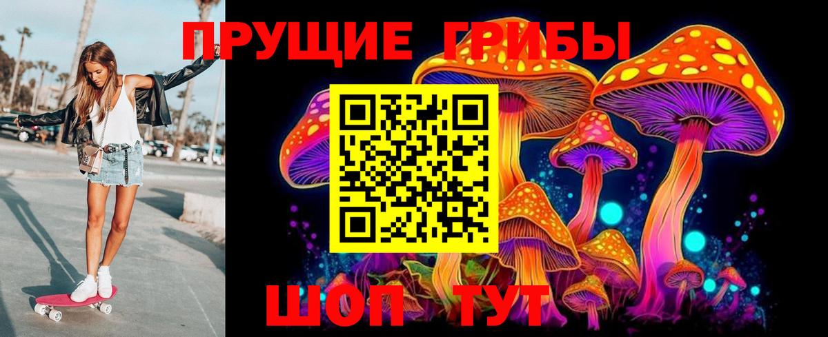 Полевской  Галлюциногенные грибы Cubensis  Галлюциногенные грибы Psilocybe  Вход с VPN 